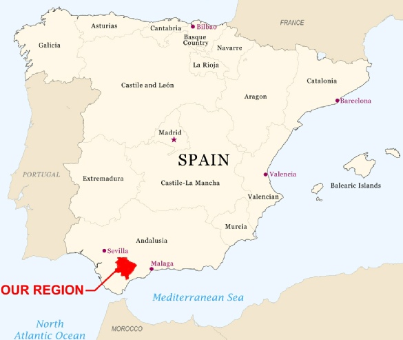 Interactive map